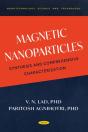 Magnetic Nanoparticles: Synthesis And Comprehensive Characterization - Preview