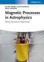 Magnetic Processes In Astrophysics - Preview