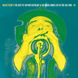 Capa do artigo Magneticism II - CD