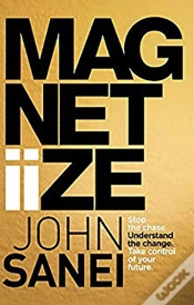 Capa do artigo Magnetiize