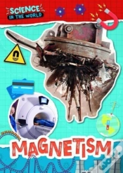 Capa do artigo Magnetism