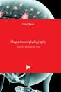 Magnetoencephalography - Preview