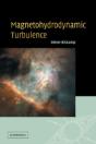 Magnetohydrodynamic Turbulence - Preview