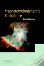 Capa do artigo Magnetohydrodynamic Turbulence