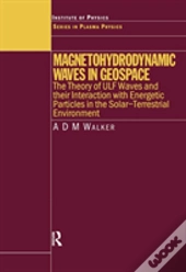 Magnetohydrodynamic Waves In Geospace