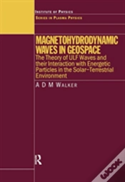 Capa do artigo Magnetohydrodynamic Waves In Geospace