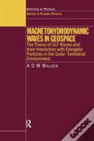 Magnetohydrodynamic Waves In Geospace