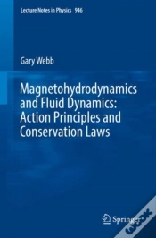 Capa do artigo Magnetohydrodynamics And Fluid Dynamics: Action Principles And Conservation Laws
