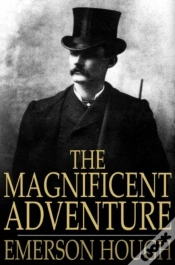 Capa do artigo Magnificent Adventure