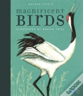 Magnificent Birds