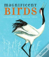 Magnificent Birds