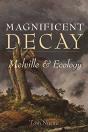 Magnificent Decay - Preview