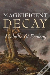 Capa do artigo Magnificent Decay