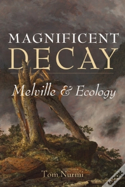 Capa do artigo Magnificent Decay