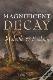 Capa do artigo Magnificent Decay