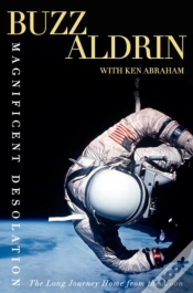 Capa do artigo Magnificent Desolation