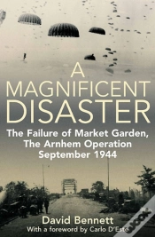Capa do artigo Magnificent Disaster