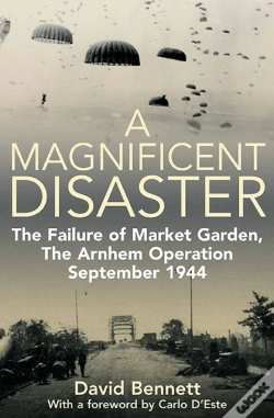 Capa do artigo Magnificent Disaster