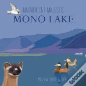 Magnificent Majestic Mono Lake