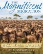 Magnificent Migration - Preview