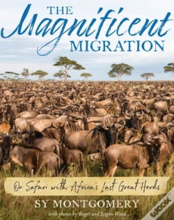 Capa do artigo Magnificent Migration