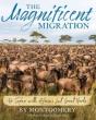 Magnificent Migration - Preview
