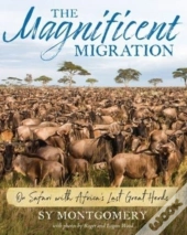 Magnificent Migration