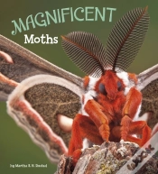 Capa do artigo Magnificent Moths