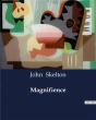 Magnifience - Preview