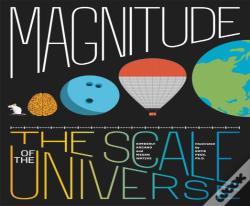 Magnitude