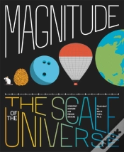 Capa do artigo Magnitude