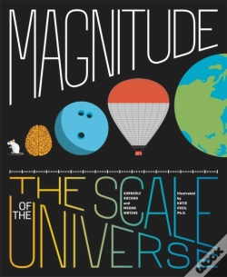 Capa do artigo Magnitude