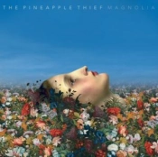 Capa do artigo Magnolia (2025 Mix) - CD