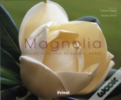 Capa do artigo Magnolia