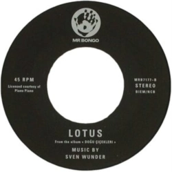 Capa do artigo Magnolia - Vinil