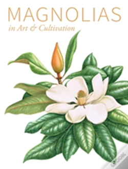 Capa do artigo Magnolias