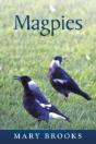 Magpies - Preview