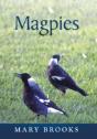 Magpies - Preview