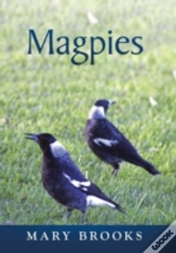 Capa do artigo Magpies