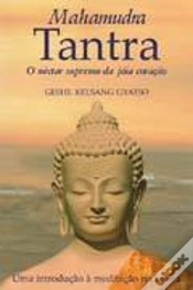 Capa do artigo Mahamudra Tantra