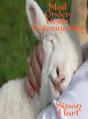 Mail Order Bride Veterinarian - Preview
