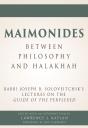 Maimonides Â€“ Between Philosophy And Halakhah - Preview