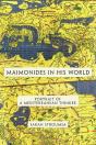 Maimonides In His World - Preview