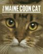 Maine Coon Cat - Preview