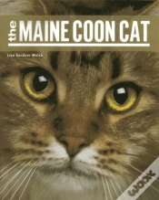 Capa do artigo Maine Coon Cat