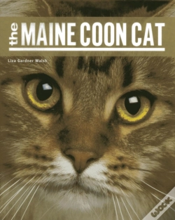 Capa do artigo Maine Coon Cat