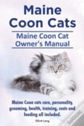 Maine Coon Cats. Maine Coon Cat Owner'S