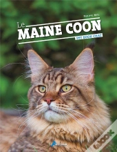 Maine Coon (Le)