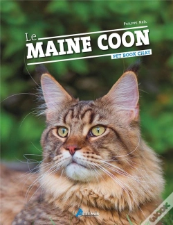 Capa do artigo Maine Coon (Le)