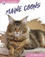 Maine Coons - Preview